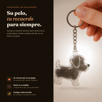 Pet Memorial Keychain